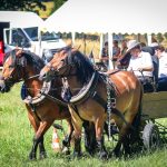 Ani tropické počasí nezastavilo memoriál bratří Machů