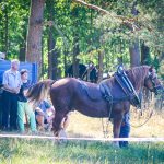 Ani tropické počasí nezastavilo memoriál bratří Machů