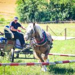 Ani tropické počasí nezastavilo memoriál bratří Machů