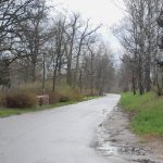 Nový chodník okolo Bažantnice už je hotový. Jsem s ním spokojený, říká starosta Milevska