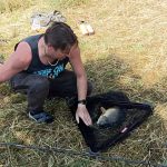 Rybáři v Dačicích oslavili sto let od založení spolku závodem na Peráčku