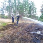 Požár v lese na Jindřichohradecku způsobil ve čtvrtek škodu za 150 tisíc korun