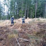 Požár v lese na Jindřichohradecku způsobil ve čtvrtek škodu za 150 tisíc korun