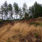 Požár v lese na Jindřichohradecku způsobil ve čtvrtek škodu za 150 tisíc korun