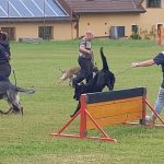 Sportovní víkend v Hrazánkách se vydařil. V neděli cvičili na hřišti také psi