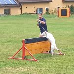 Sportovní víkend v Hrazánkách se vydařil. V neděli cvičili na hřišti také psi