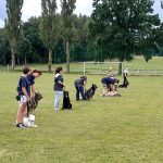 Sportovní víkend v Hrazánkách se vydařil. V neděli cvičili na hřišti také psi