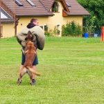 Sportovní víkend v Hrazánkách se vydařil. V neděli cvičili na hřišti také psi