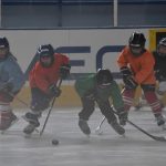 Hokejový kemp South Stars hlásil plno. Děti se k nám vrací a ještě přivádí své kamarády, dělá radost Martinu Všetečkovi