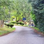 V Červené nad Vltavou někdo instaloval nelegální radar a dopravní značky