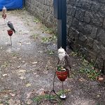 Házení kozla z věže si lidé v Dačicích nenechali ujít, i když pršelo