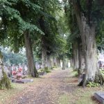 Komentovaná prohlídka hřbitova v Chýnově připomněla tři chýnovské sochaře