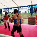 VIDEO: Jihočeská liga bojových sportů má za sebou premiéru v Jindřichově Hradci