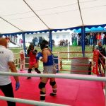 VIDEO: Jihočeská liga bojových sportů má za sebou premiéru v Jindřichově Hradci