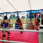 VIDEO: Jihočeská liga bojových sportů má za sebou premiéru v Jindřichově Hradci