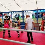 VIDEO: Jihočeská liga bojových sportů má za sebou premiéru v Jindřichově Hradci