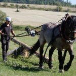 Dvacátý ročník Formanské jízdy přilákal do Vesce na pět stovek návštěvníků