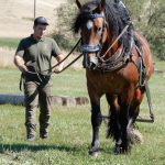 Dvacátý ročník Formanské jízdy přilákal do Vesce na pět stovek návštěvníků