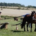 Dvacátý ročník Formanské jízdy přilákal do Vesce na pět stovek návštěvníků
