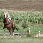 Dvacátý ročník Formanské jízdy přilákal do Vesce na pět stovek návštěvníků