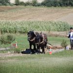Dvacátý ročník Formanské jízdy přilákal do Vesce na pět stovek návštěvníků