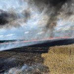 Na Táborsku hořel kombajn a pole s pšenicí. Škoda je 1,8 milionu korun