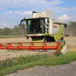Muže v makovém poli na Jindřichohradecku zachytil kombajn