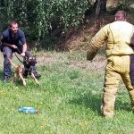 Děti z rodin s nízkými příjmy tráví léto na táboře v Dolním Radíkově
