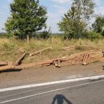 Nehoda kamionu uzavřela dálnici D3 na trase Mezno – České Budějovice