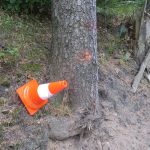 Motorkář na Prachaticku nezvládl zatáčku a narazil do stromu. Do nemocnice ho transportoval vrtulník