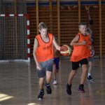 Králíci mají za sebou tradiční soustředění ve Volyni
