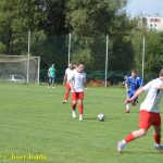 Sokolové si spravili chuť pěti góly, v derby to odnesla Jistebnice