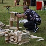 Festival Mezi stromy v milevské Bažantnici nabídl hudbu, divadlo, verše, tanec i výtvarno