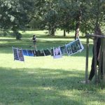 Festival Mezi stromy v milevské Bažantnici nabídl hudbu, divadlo, verše, tanec i výtvarno