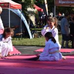 Akce Poznej sporty ve Strakonicích má za sebou třetí ročník