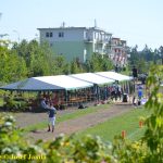 VIDEO: Tábor hostil turnaj v americkém fotbalu Summer Games. Domácí Foxes se utkali s týmy z vyšší soutěže