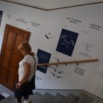 Táborské kino Svět má moderní foyer s hádankami ze světa filmu