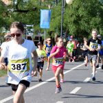 Pro domácí hospic Athelas běželo mezi mosty 505 lidí. Kamenný most přešel i jelen