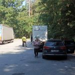 Policejní kontroly u Majdaleny se dnes zaměřily na nelegální převoz migrantů