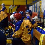 VIDEO: Zápas s Příbramí Králové otočili ve třetí části