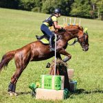 Jihočeši si vedli úspěšně v jezdecké všestrannosti na Borové. Bojovalo se i o medaile oblastního mistrovství