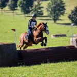 Jihočeši si vedli úspěšně v jezdecké všestrannosti na Borové. Bojovalo se i o medaile oblastního mistrovství