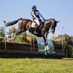 Jihočeši si vedli úspěšně v jezdecké všestrannosti na Borové. Bojovalo se i o medaile oblastního mistrovství