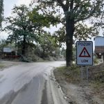 Zarostlé dopravní značení i neexistující značka. Tak vypadá jihočeská silnice. Co na to říká ministr dopravy Martin Kupka?