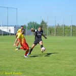 VIDEO: Kanonýr David Neužil opět úřadoval! Sokol porazil v souboji o čelo Meteor