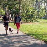 Na druhý pochod Českou Kanadou se vydalo 441 turistů. Kanadský tulák se znovu půjde na jaře