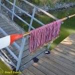 VIDEO: Táborské veslařské posádky zvítězily na domácích závodech osmnáctkrát. Nejvíce bodů posbíral Vajgar Jindřichův Hradec