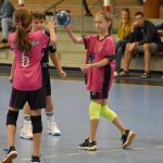 Házenkářský potěr si dal dostaveníčko ve Strakonicích