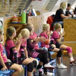 Házenkářský potěr si dal dostaveníčko ve Strakonicích