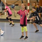 Házenkářský potěr si dal dostaveníčko ve Strakonicích